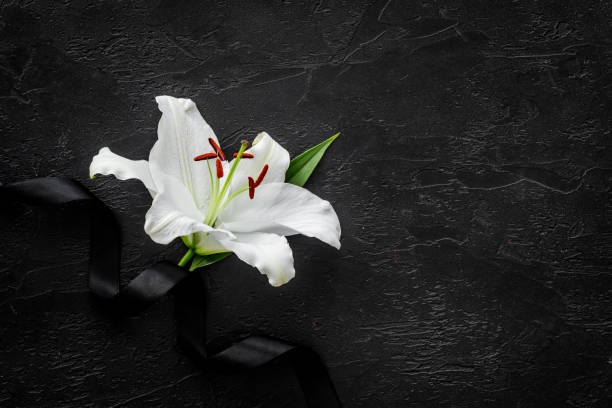 istock Funeral symbols. White lily with black ribbon, top view 1278587067