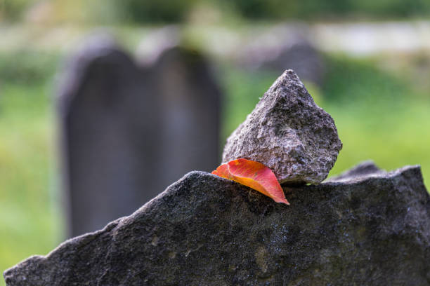 Very old abandoned Jewish cemetery near the village of Trstin, Slovakia