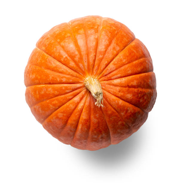 istock Pumpkin isolated on white. Top view, close-up. 1278589734