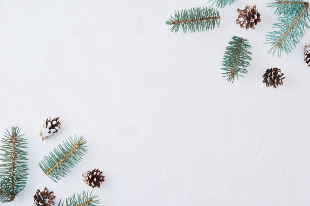 istock Christmas composition with copy space. Decoration made of fir tree branches, pine cones and dried fruits on a white background 1278593733