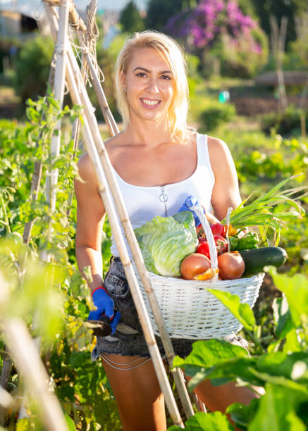 istock Woman posing in garden with picked vegetables 1278596070