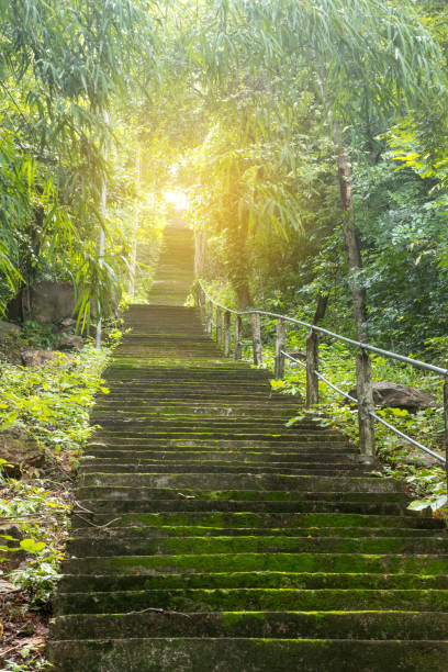 istock Old concrete staircase on the hillside forest. 1278596992