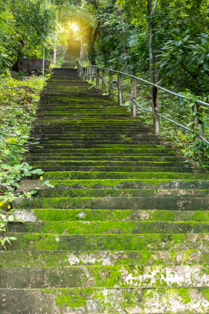 istock Old concrete staircase on the hillside forest. 1278597130