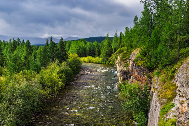 istock mountain river flowing among the rocks in a forest area 1278598401