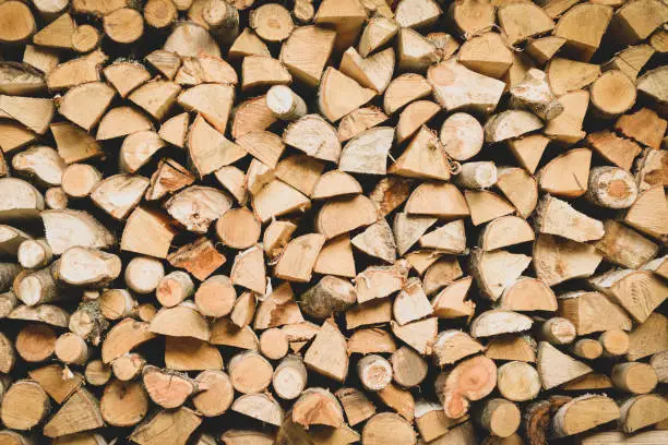 Photo of birch firewood background