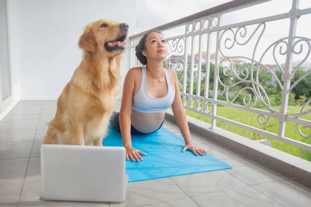 istock Attractive yoga instructor practicing upward facing dog at her balcony 1278598989