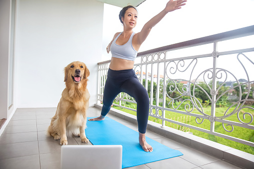 Portrait shot of attractive Chinese woman practicing warrior pose above blue yoga mat, her arm raised, standing barefoot next to her golden retriever dog , at her balcony at home, with a paddyfield view