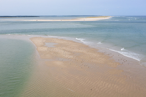 The Atlantic Ocean washes onto a scenic, sandy beach on Cape Cod, Massachusetts. This beautiful peninsula is a popular summer vacation destination in New England.