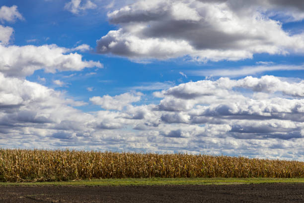 ploughed fields - cloudy sky above
