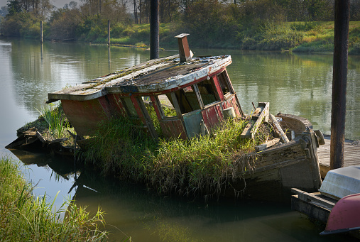 Tall grass takes over an abandoned boat on the river bank.