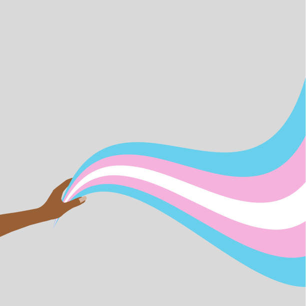stockillustraties, clipart, cartoons en iconen met de vlag van transgender - transgender