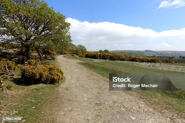 Dartmoor Disused Railway Line To Princetown Stock Photo - Download Image Now - Abandoned, Agricultural Field, Agriculture