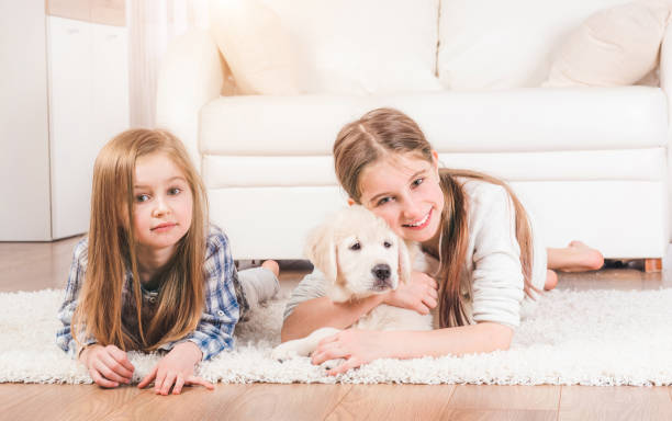 istock Sisters lying together with cute retriever puppy 1278604185