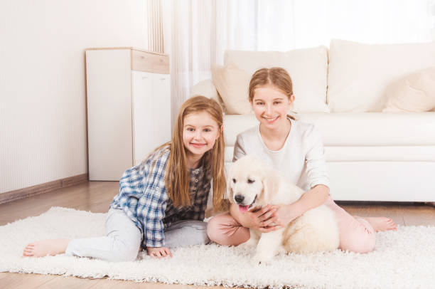 istock Smiling sisters sit together with retriever puppy 1278604199