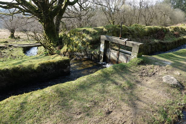 istock Leat, Dartmoor, England. 1278605368