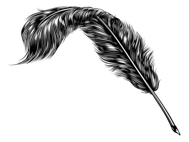 Writing Quill Feather Ink Pen Stock Illustration - Download Image Now -  Fountain Pen, Feather, Quill Pen - iStock