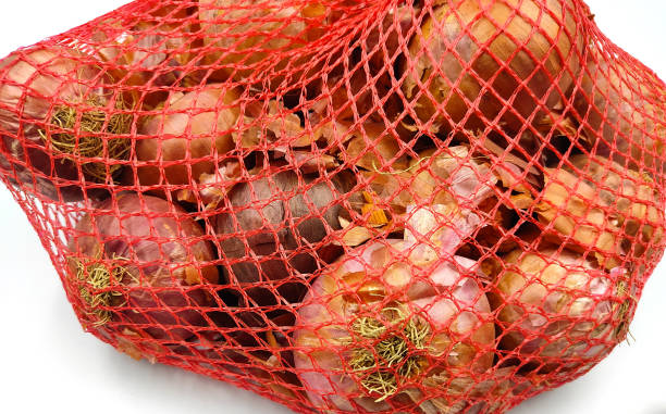 groupes d’oignons en maille sur blanc - onion bag netting vegetable photos et images de collection