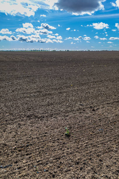 istock Autumn agricultural landscape, Sunny day 1278608622