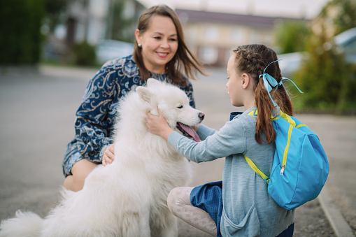 Child and her samoyed dog at a city street