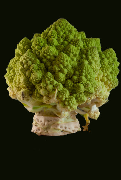 istock Healthy nutrition, vegetables: green broccoli 1278611187