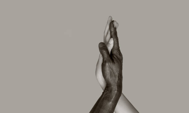 una fotografía en blanco y negro en la que las manos negras masculinas y blancas de las mujeres tocan las palmas, entrelazadas. el concepto de amistad y respeto interracial. copia del espacio, fondo gris aislado. - intertwined fotografías e imágenes de stock