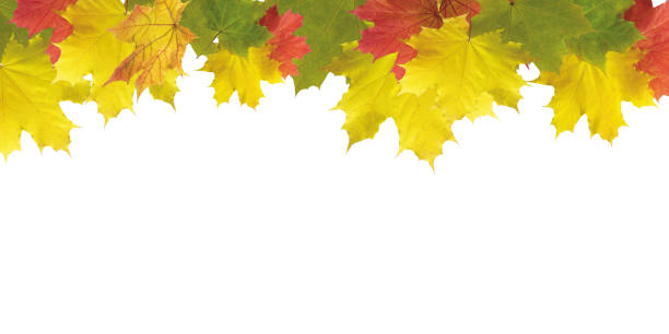istock Beautiful brightly coloured Autumn frame on white background 1278617072