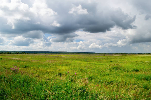 istock Beautiful field landscape, grass and dramatic clouds. 1278618851