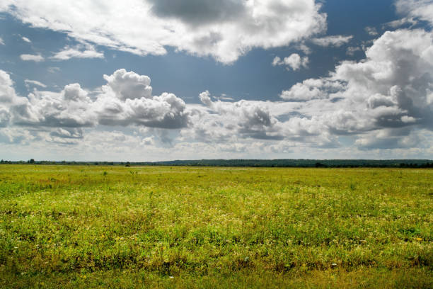 istock Beautiful field landscape, grass and dramatic clouds. 1278618983