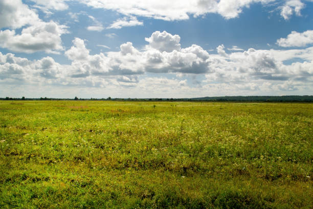 istock Beautiful field landscape, grass and dramatic clouds. 1278619650