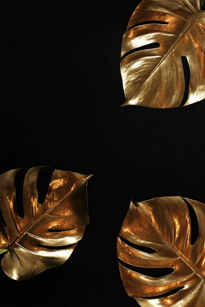 istock Gold monstera leaves frame on a black  background  top view.  copy space. abstract poster. 1278624688