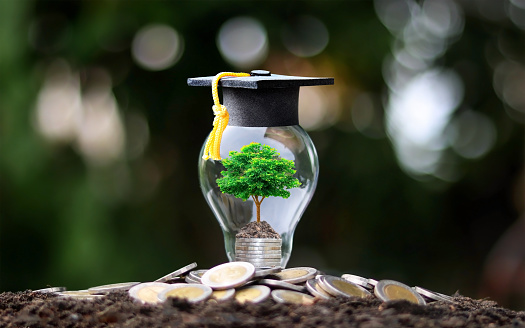 Grow green trees on money in energy-saving light bulbs, including graduation hats, with ideas for economic growth and education.