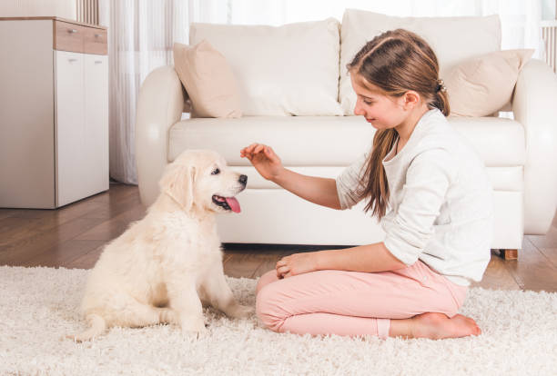 istock Girl playing with retriever puppy 1278631040