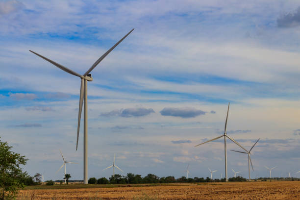 istock Wind turbines in a field. Renewable energy 1278631687