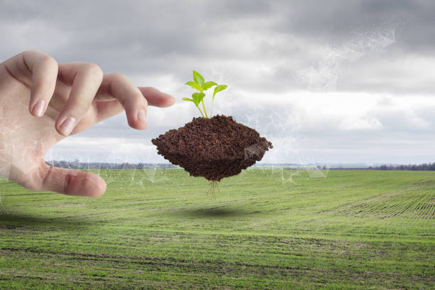 istock The hand shows the sprout in the ground . 1278631760