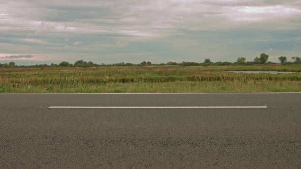 istock background, smooth rotation of the camera vertically, shooting the road surface in the background swamp and field, flying flocks of birds, asphalt and wildlife 1278632304