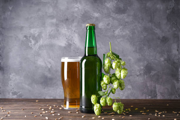istock Hop branch and beer on gray background 1278632461