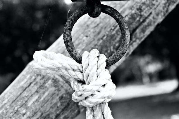 istock White ropes with metallic hooks isolated unique photo 1278636240