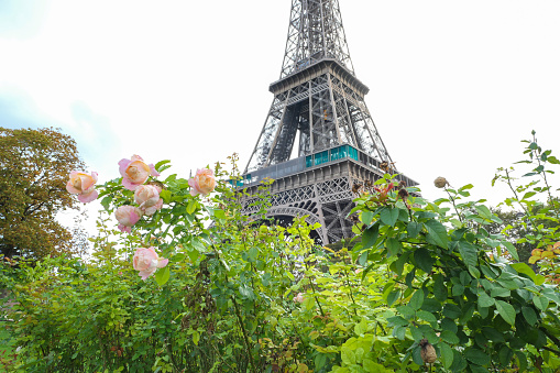 The world famous Eiffel Tower of Paris