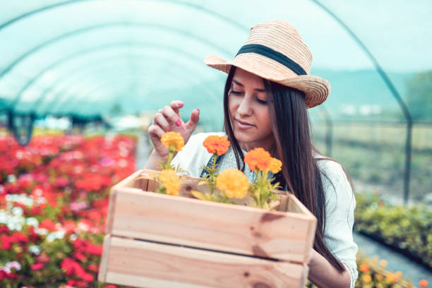 Let's Smell The Flowers