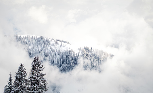 European alps: Deep snow and fir trees on a distant ridge appearing during a break in the cloud.