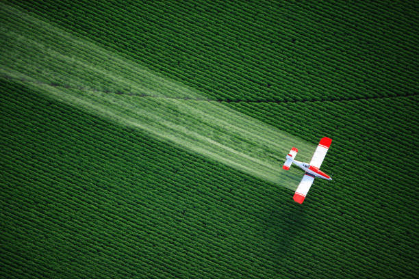 aerial view of a crop duster or aerial applicator, flying low, and spraying agricultural chemicals, over lush green potato fields in idaho. - spraying agriculture farm herbicide imagens e fotografias de stock