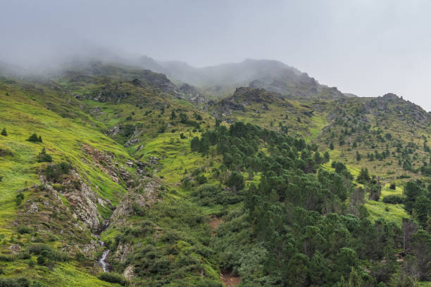 istock green mountains and dense fog 1278641867