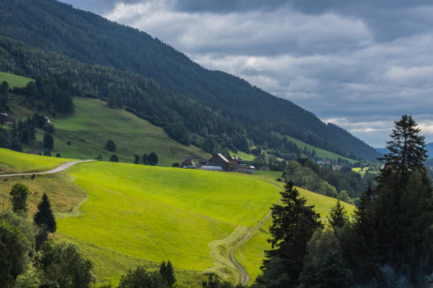istock green nature landscape with paths houses and forest 1278641884