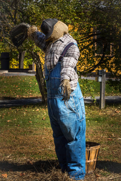 istock Colourful scarecrow doing their jobs 1278643049