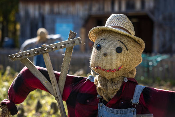 istock Colourful scarecrow doing their jobs 1278643077