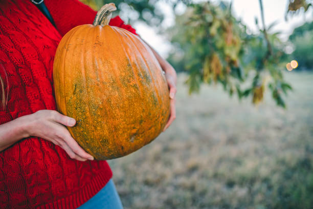 istock Woman with pumpkin for Halloween 1278643098