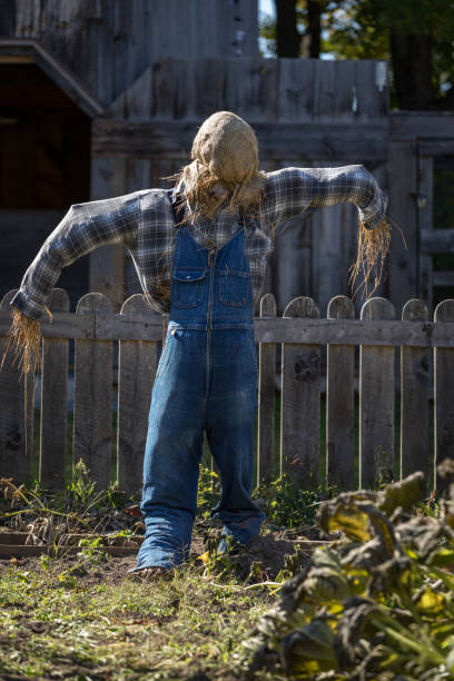 istock Colourful scarecrow doing their jobs 1278643179