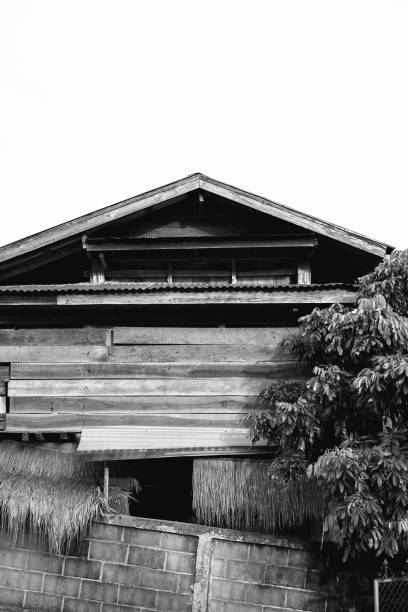 Rural Traditional house composition