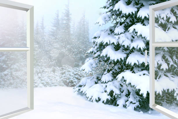 冬の森に窓が開いた。雪のトウヒ。大晦日 - wood window ストックフォトと画像
