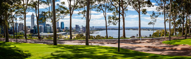 panorama de árvores de goma perfumadas com limão e perth central business district de kings park, perth, austrália - kings park - fotografias e filmes do acervo